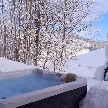 Sommerbichl * Zell am See